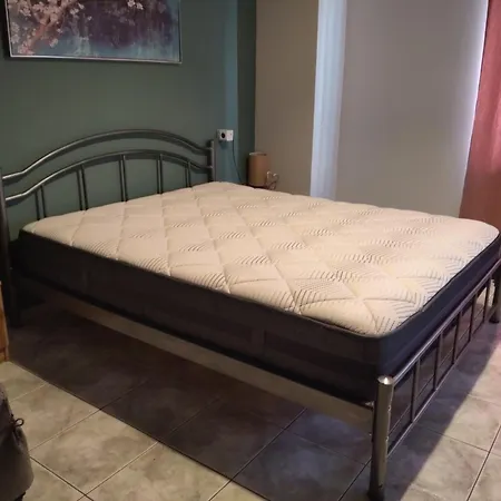 Daire Happy Traveller Golos